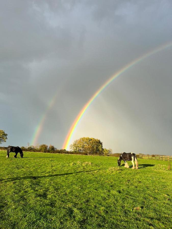 Driffield Appaloosa Suite With Amazing Views Of Stud Farm. מראה חיצוני תמונה